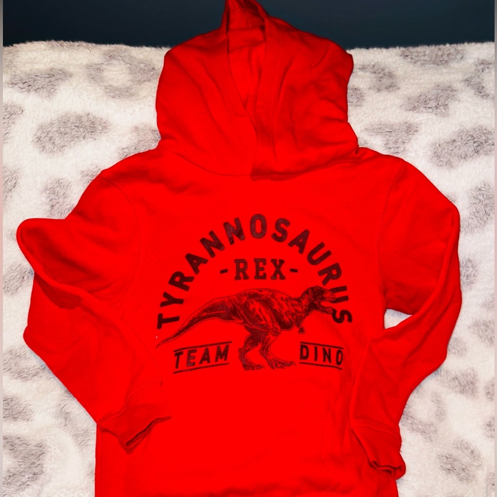 Red Hoodie with dinosaur